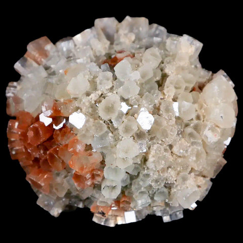 2.1" Aragonite Mineral Two Tone Crystal Cluster Specimen Tazouta Morocco - Fossil Age Minerals