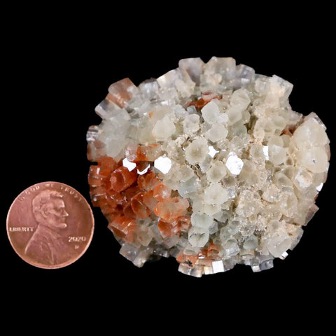 2.1" Aragonite Mineral Two Tone Crystal Cluster Specimen Tazouta Morocco - Fossil Age Minerals