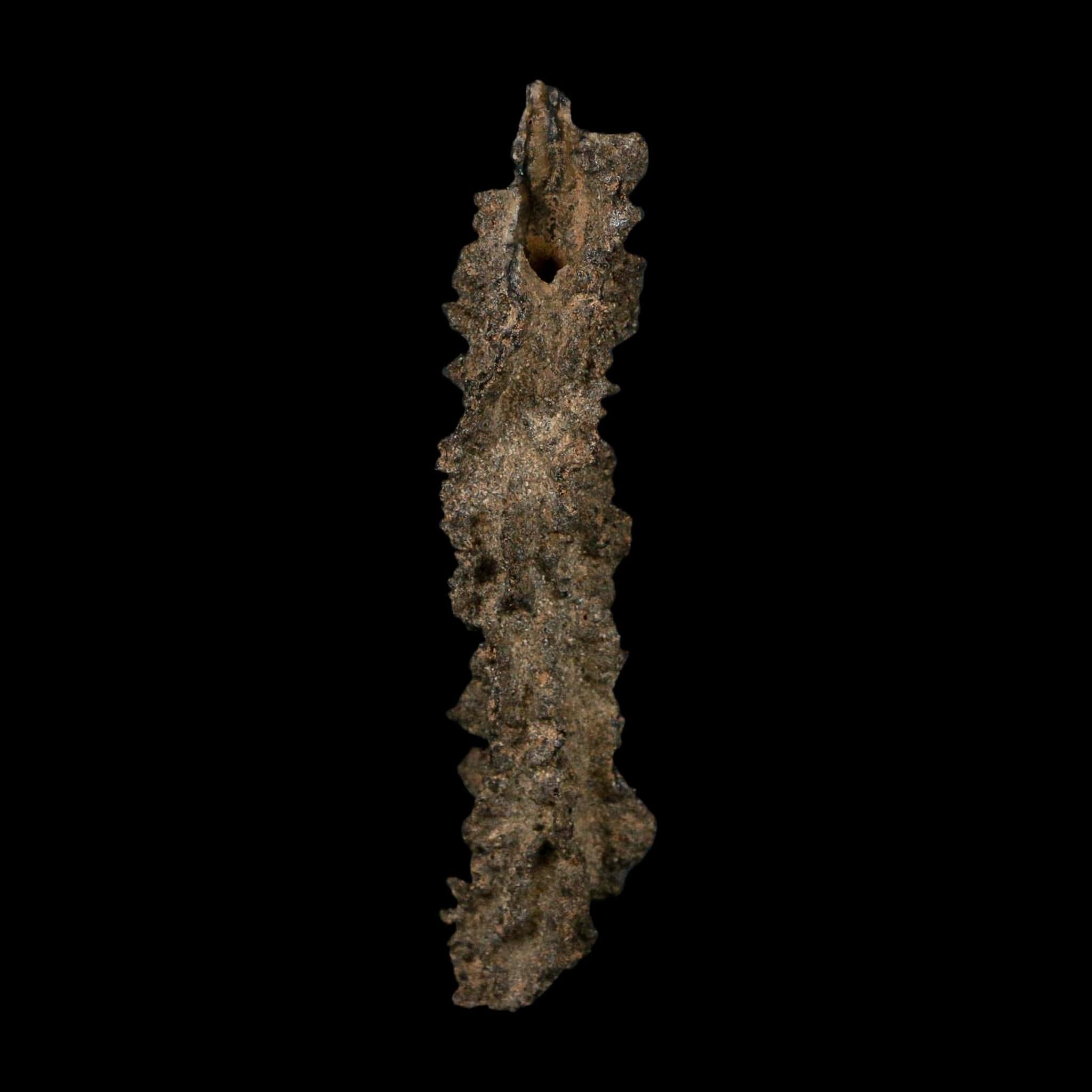 3.7" Fulgurite Petrified Lightning Strike Glass Sahara Desert Algeria - Fossil Age Minerals