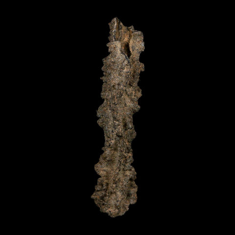 3.7" Fulgurite Petrified Lightning Strike Glass Sahara Desert Algeria - Fossil Age Minerals