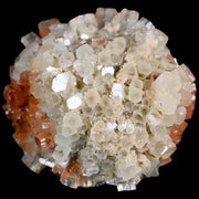 2.1" Aragonite Mineral Two Tone Crystal Cluster Specimen Tazouta Morocco