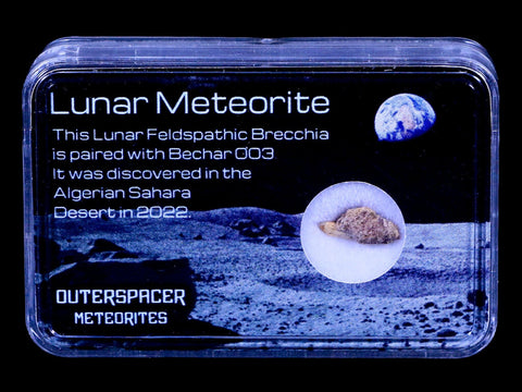 Moon Rock Moon Lunar Meteorite Bechar 003 Algerian Sahara Desert Discovered 2022 - Fossil Age Minerals