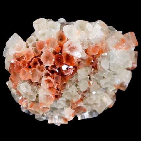 2.1" Aragonite Mineral Two Tone Crystal Cluster Specimen Tazouta Morocco - Fossil Age Minerals