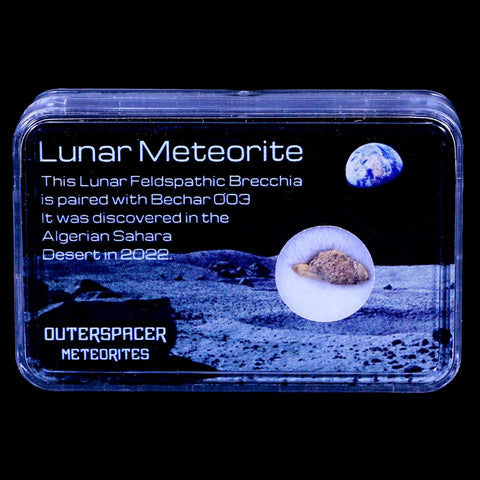 Moon Rock Moon Lunar Meteorite Bechar 003 Algerian Sahara Desert Discovered 2022 - Fossil Age Minerals
