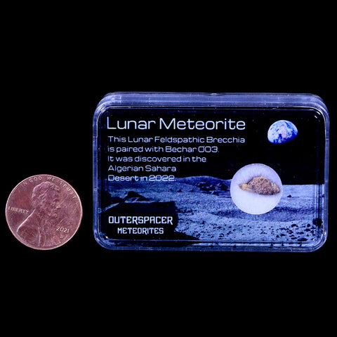 Moon Rock Moon Lunar Meteorite Bechar 003 Algerian Sahara Desert Discovered 2022 - Fossil Age Minerals