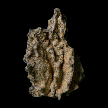2.5" Fulgurite Petrified Lightning Strike Glass Sahara Desert Algeria