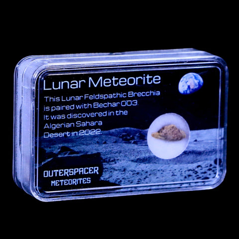 Moon Rock Moon Lunar Meteorite Bechar 003 Algerian Sahara Desert Discovered 2022 - Fossil Age Minerals