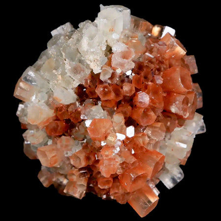 2.1" Aragonite Mineral Two Tone Crystal Cluster Specimen Tazouta Morocco