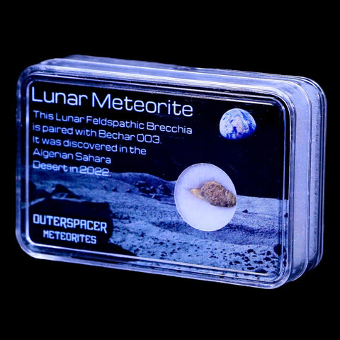 Moon Rock Moon Lunar Meteorite Bechar 003 Algerian Sahara Desert Discovered 2022 - Fossil Age Minerals