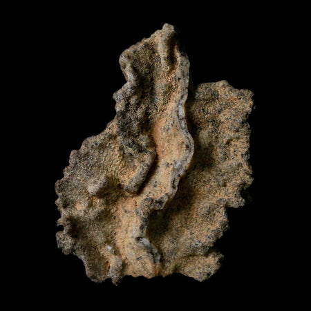 2.5" Fulgurite Petrified Lightning Strike Glass Sahara Desert Algeria