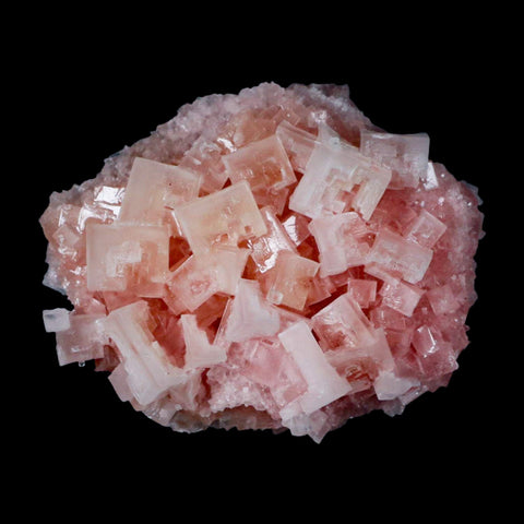 3.1" Quality Pink Halite Salt Crystals Cluster Mineral Trona, CA Searles Lake - Fossil Age Minerals