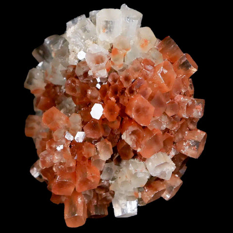 2.1" Aragonite Mineral Two Tone Crystal Cluster Specimen Tazouta Morocco - Fossil Age Minerals