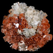 2.1" Aragonite Mineral Two Tone Crystal Cluster Specimen Tazouta Morocco