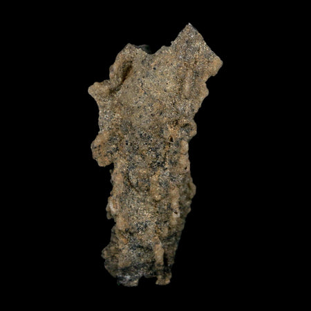2.7" Fulgurite Petrified Lightning Strike Glass Sahara Desert Algeria