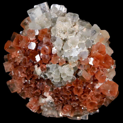 2.1" Aragonite Mineral Two Tone Crystal Cluster Specimen Tazouta Morocco - Fossil Age Minerals