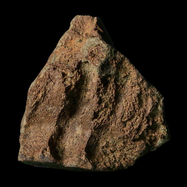 2.6