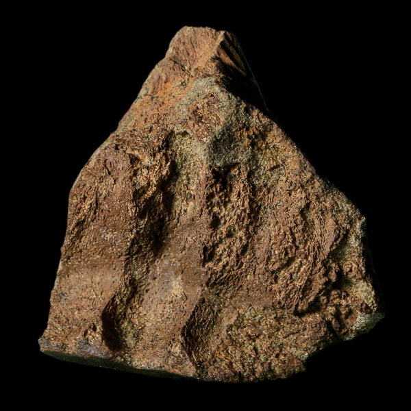 2.6
