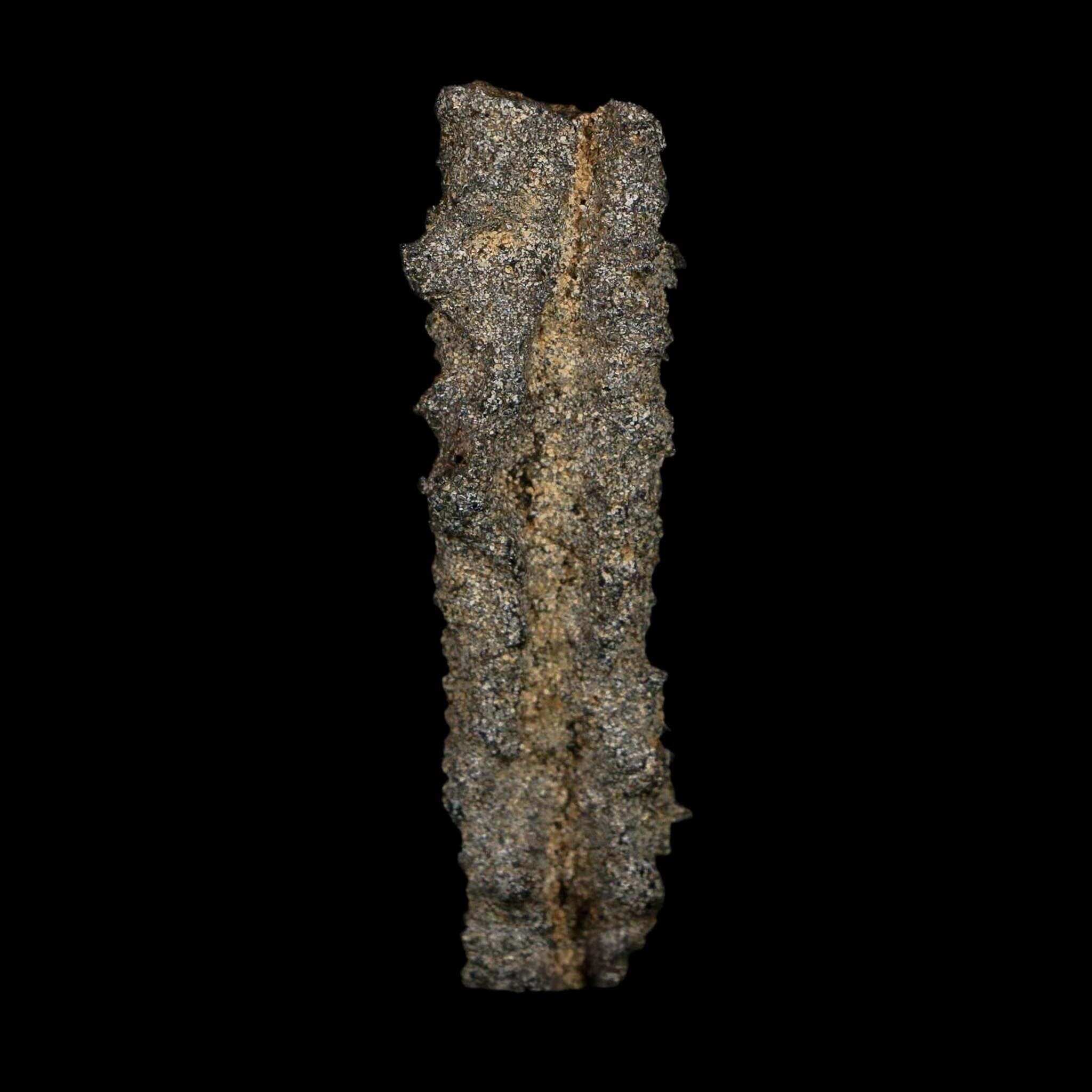 2.7" Fulgurite Petrified Lightning Strike Glass Sahara Desert Algeria - Fossil Age Minerals