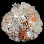2" Aragonite Mineral Two Tone Crystal Cluster Specimen Tazouta Morocco