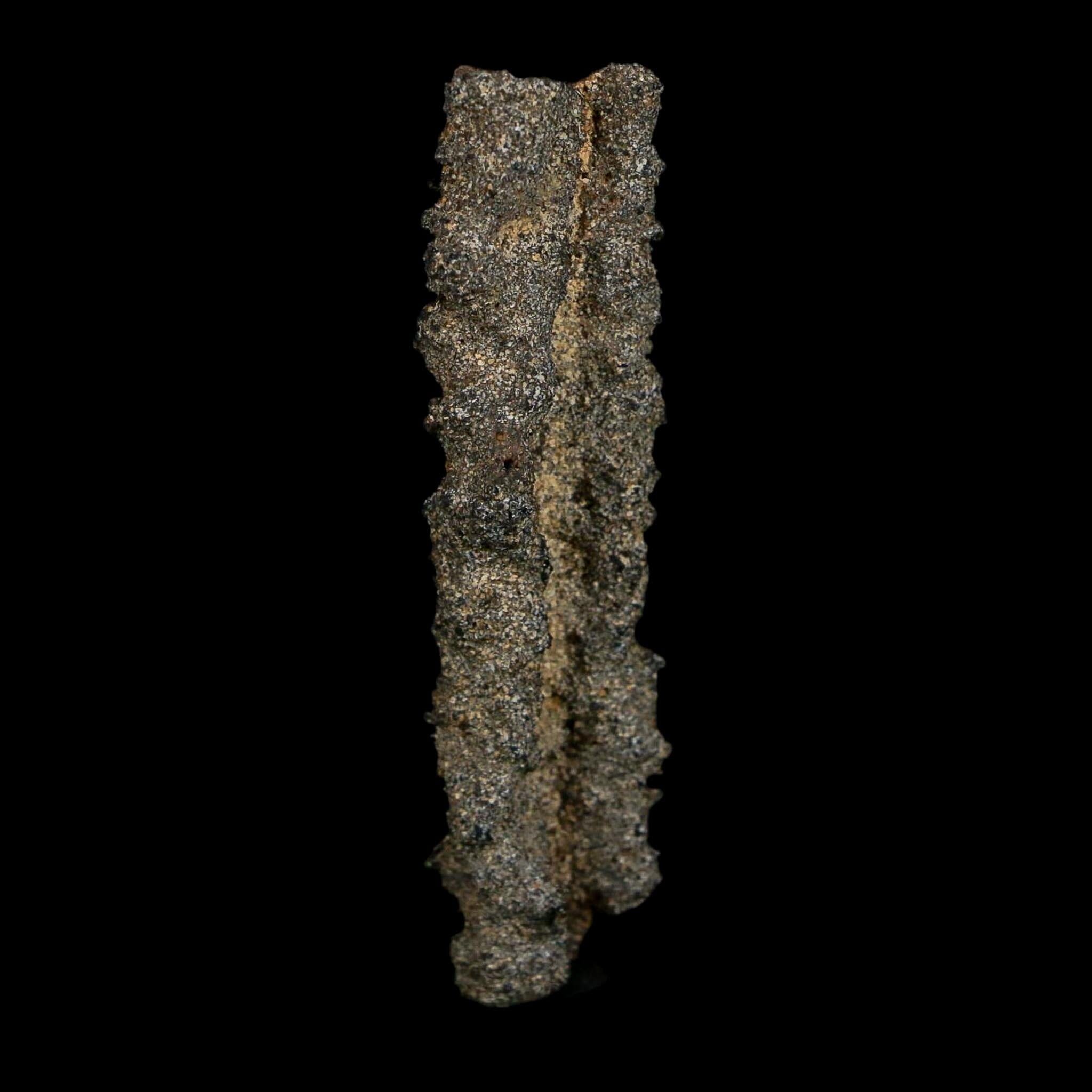 2.7" Fulgurite Petrified Lightning Strike Glass Sahara Desert Algeria - Fossil Age Minerals