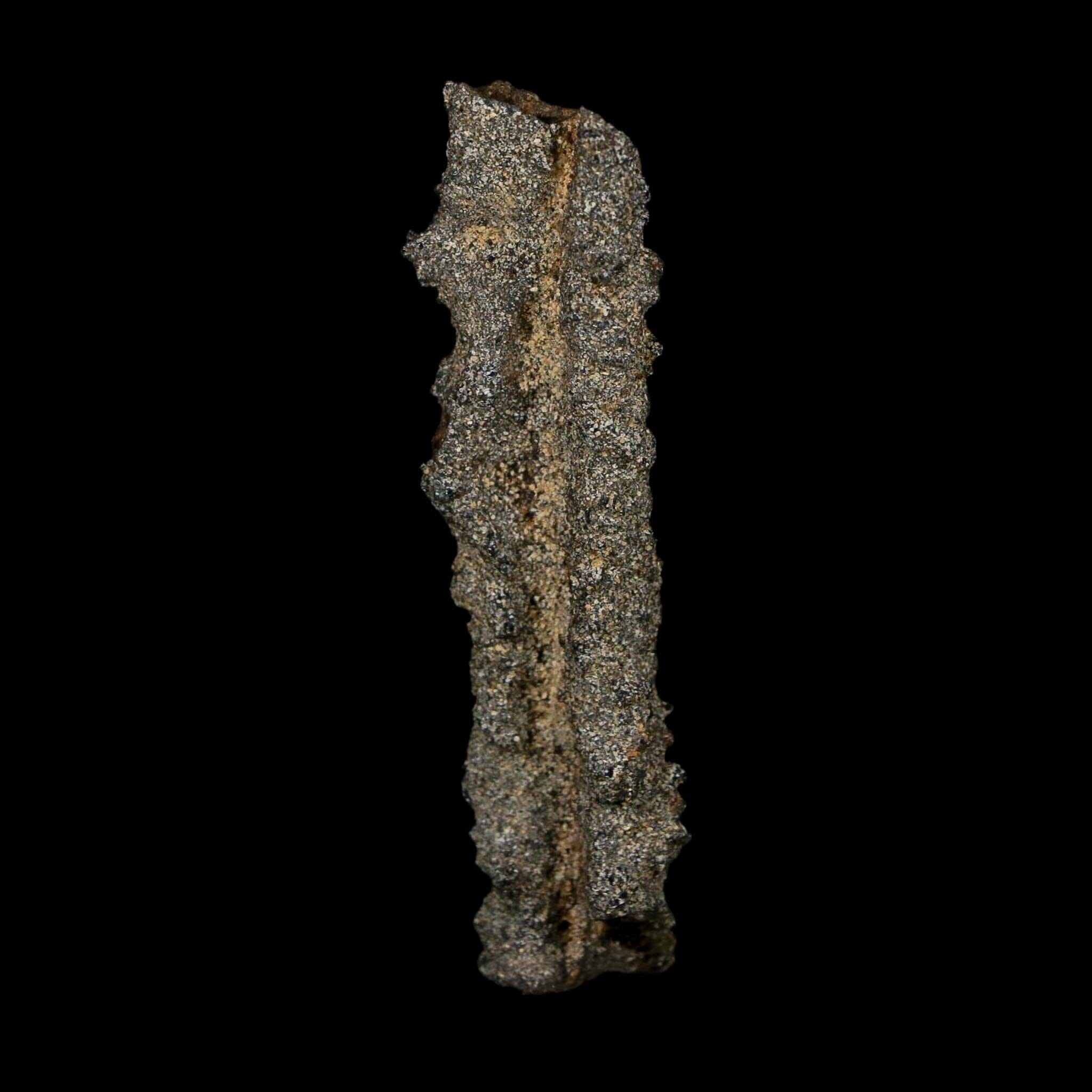 2.7" Fulgurite Petrified Lightning Strike Glass Sahara Desert Algeria - Fossil Age Minerals