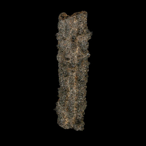 2.7" Fulgurite Petrified Lightning Strike Glass Sahara Desert Algeria - Fossil Age Minerals