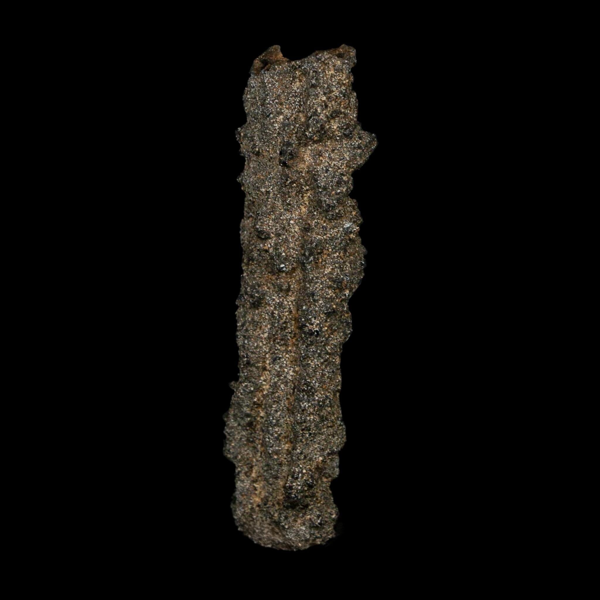 2.7" Fulgurite Petrified Lightning Strike Glass Sahara Desert Algeria - Fossil Age Minerals