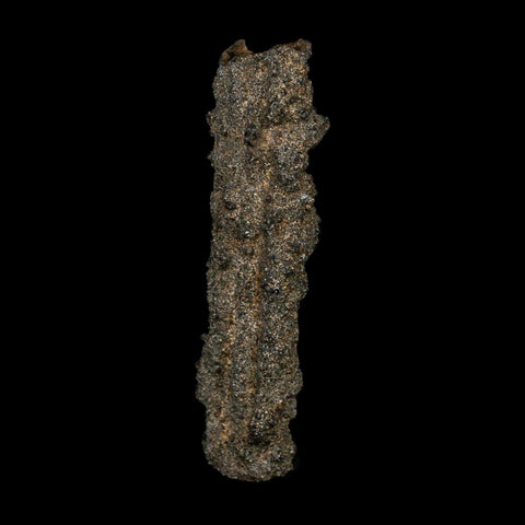 2.7" Fulgurite Petrified Lightning Strike Glass Sahara Desert Algeria - Fossil Age Minerals
