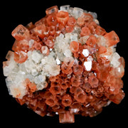 1.9" Aragonite Mineral Two Tone Crystal Cluster Specimen Tazouta Morocco