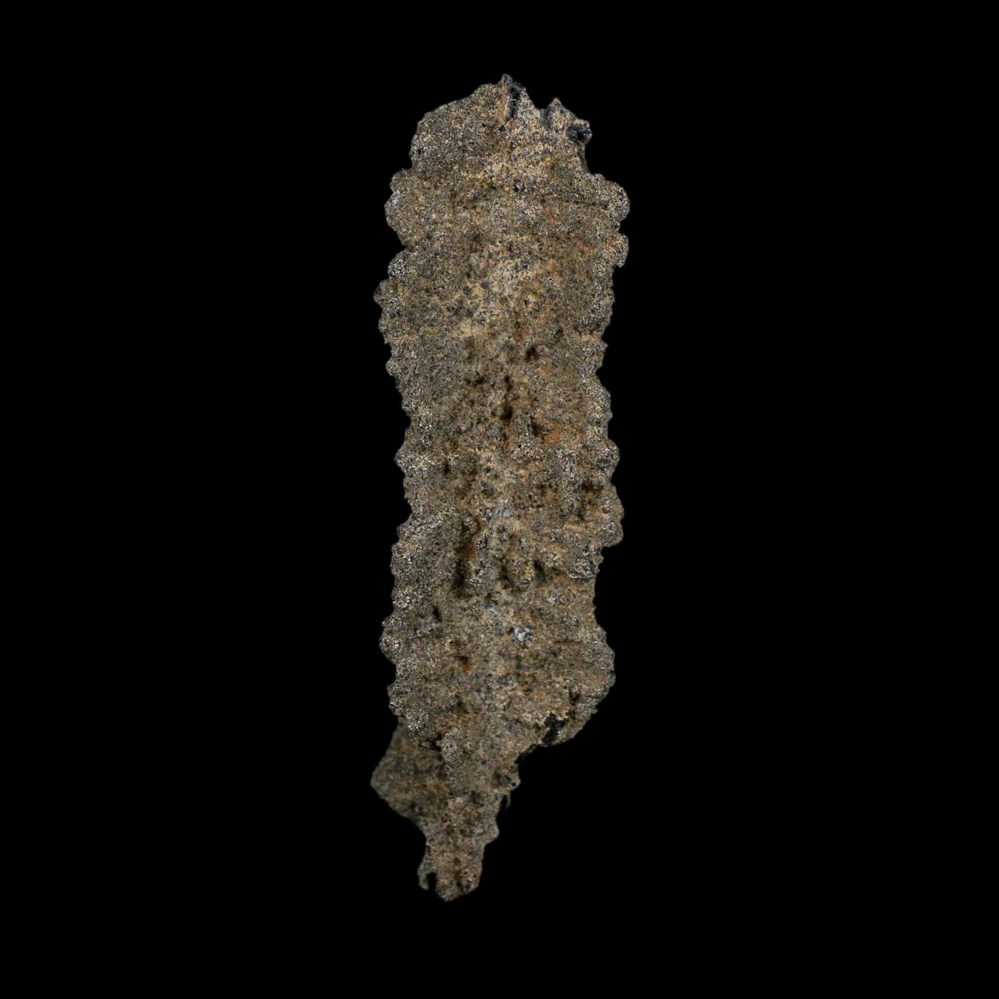 3.9" Fulgurite Petrified Lightning Strike Glass Sahara Desert Algeria - Fossil Age Minerals
