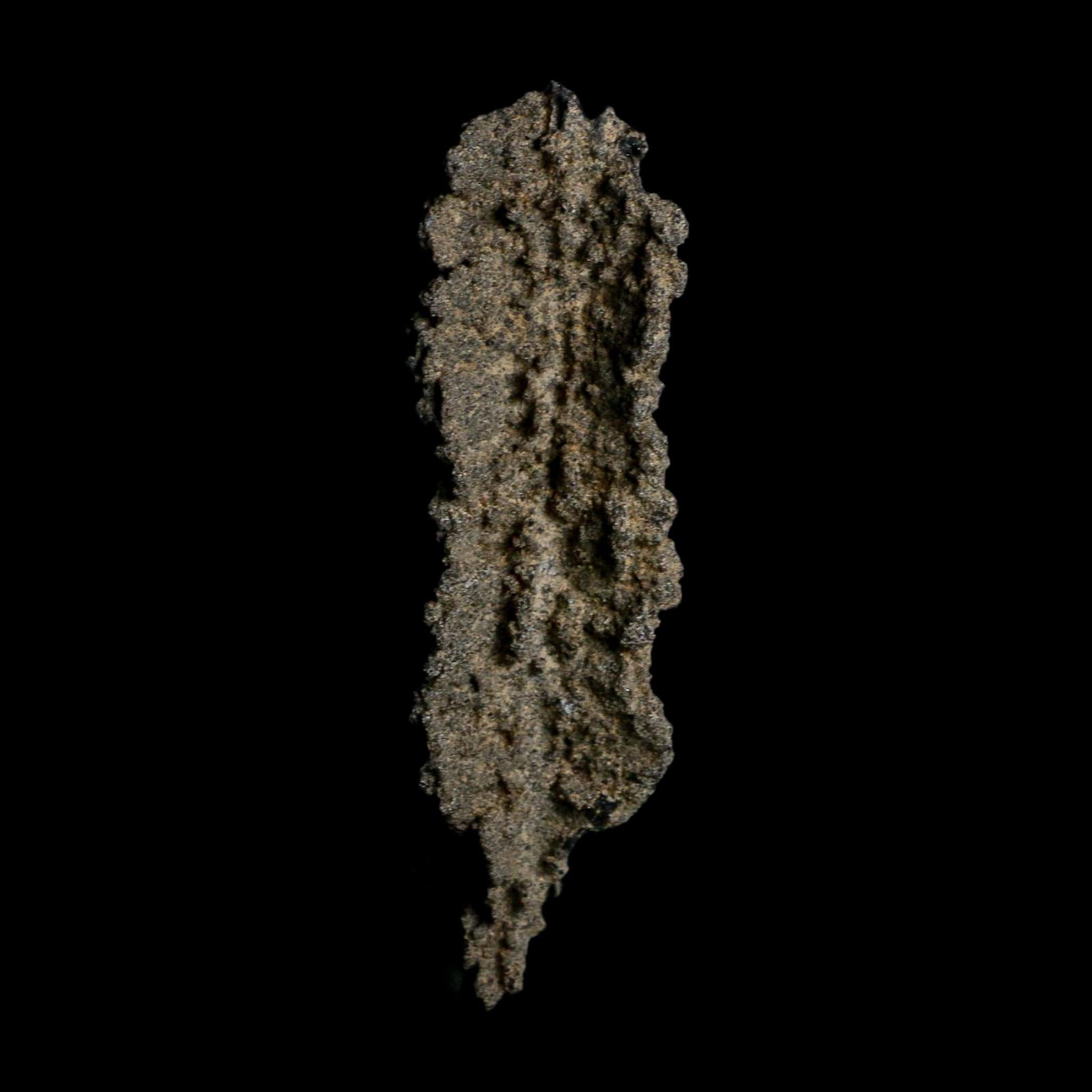 3.9" Fulgurite Petrified Lightning Strike Glass Sahara Desert Algeria - Fossil Age Minerals