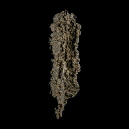 3.9" Fulgurite Petrified Lightning Strike Glass Sahara Desert Algeria