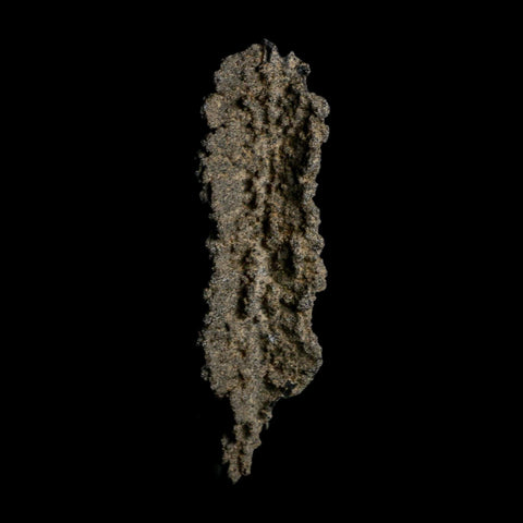 3.9" Fulgurite Petrified Lightning Strike Glass Sahara Desert Algeria - Fossil Age Minerals