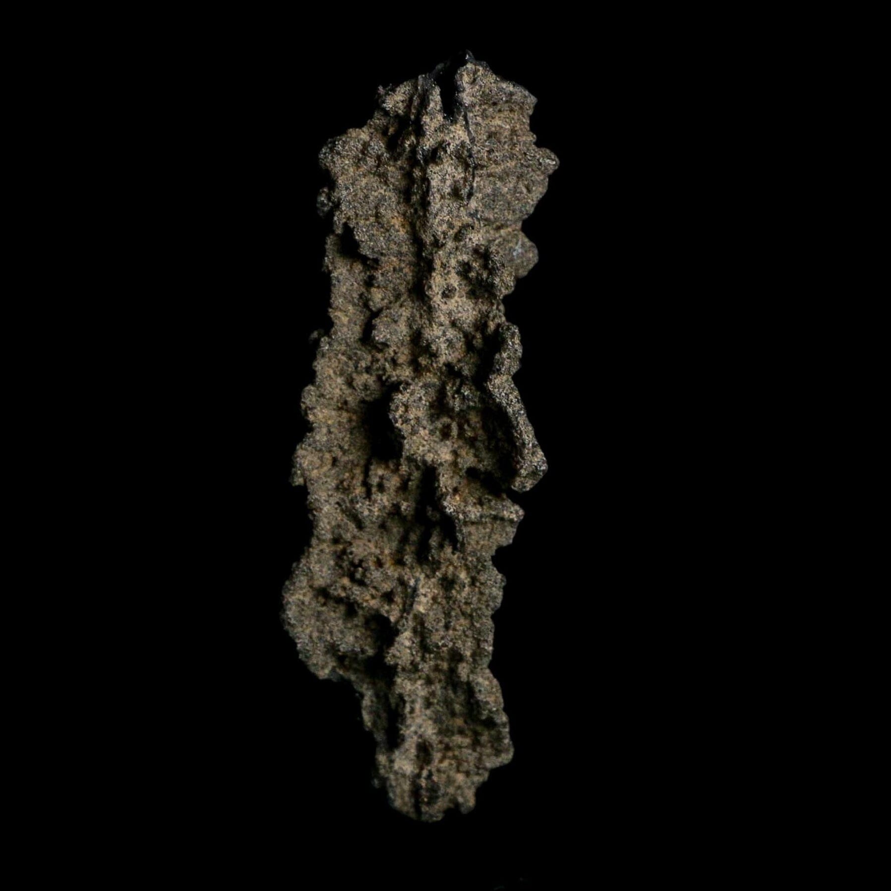 3.9" Fulgurite Petrified Lightning Strike Glass Sahara Desert Algeria - Fossil Age Minerals