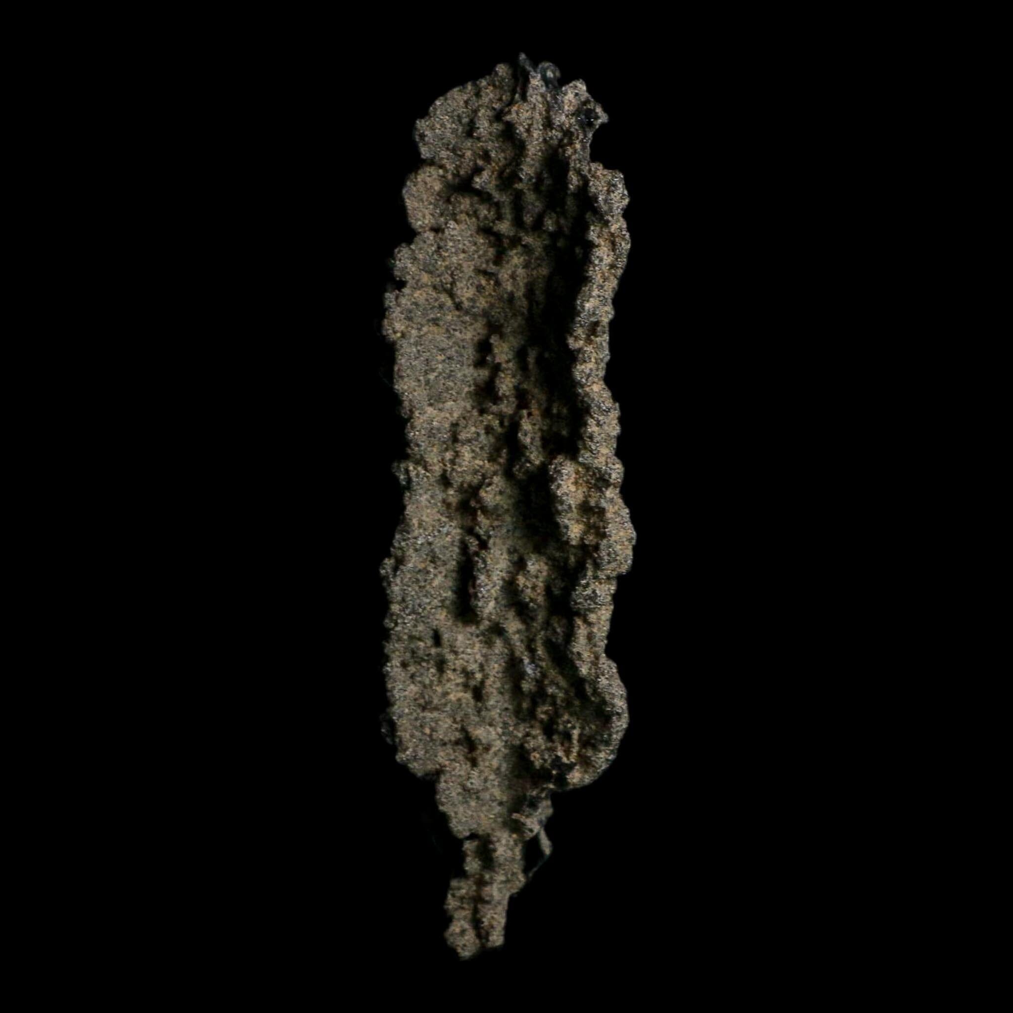 3.9" Fulgurite Petrified Lightning Strike Glass Sahara Desert Algeria - Fossil Age Minerals