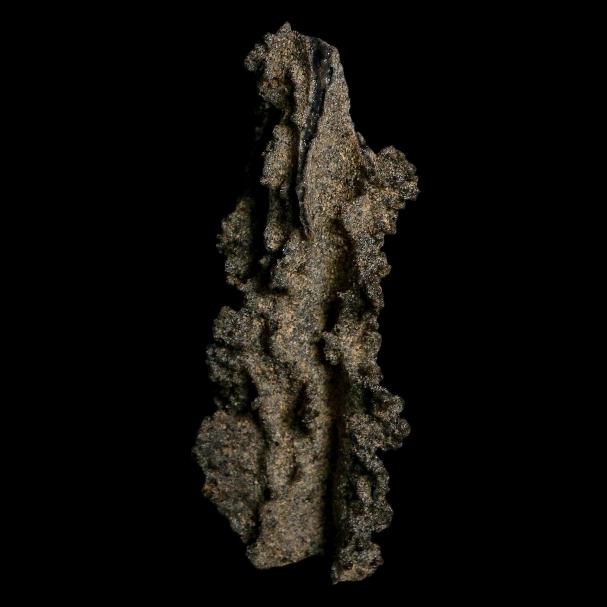 2.9" Fulgurite Petrified Lightning Strike Glass Sahara Desert Algeria - Fossil Age Minerals