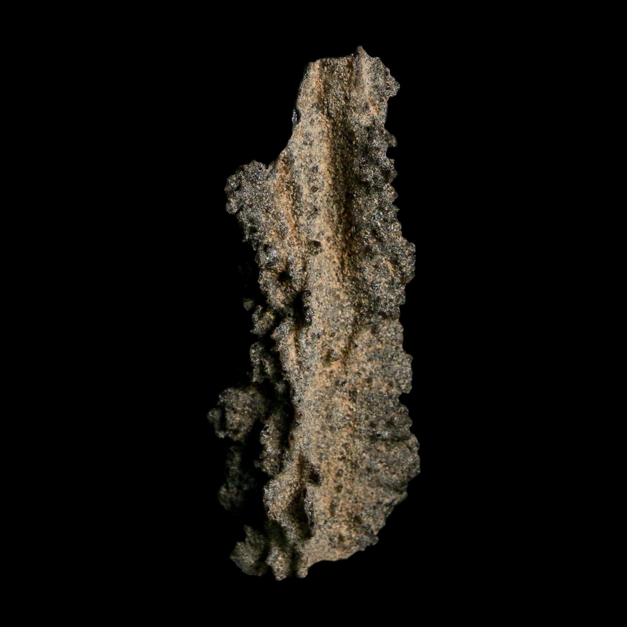 2.9" Fulgurite Petrified Lightning Strike Glass Sahara Desert Algeria - Fossil Age Minerals