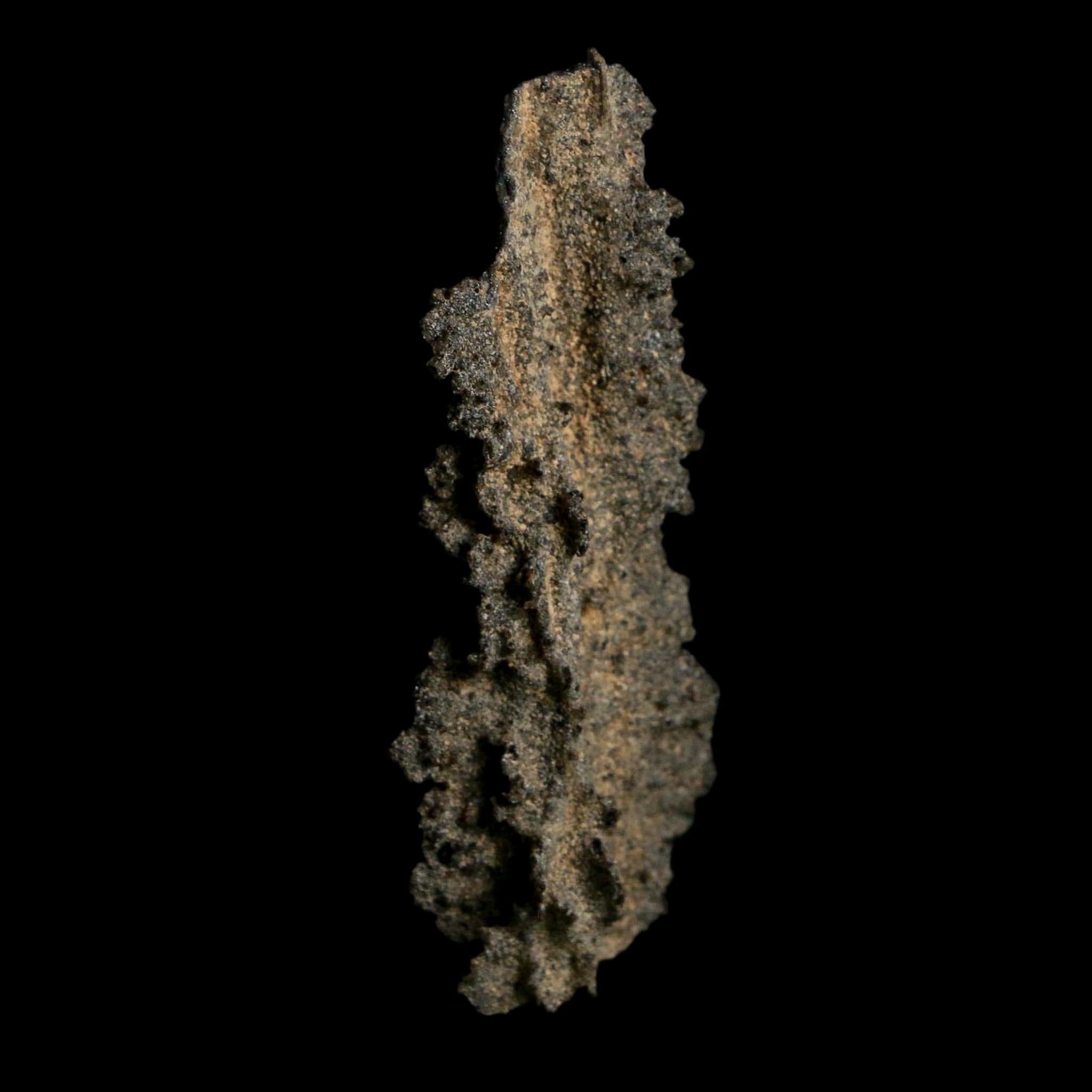 2.9" Fulgurite Petrified Lightning Strike Glass Sahara Desert Algeria - Fossil Age Minerals