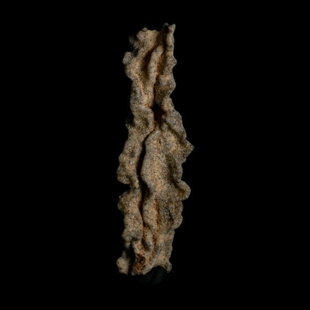 3.7" Fulgurite Petrified Lightning Strike Glass Sahara Desert Algeria