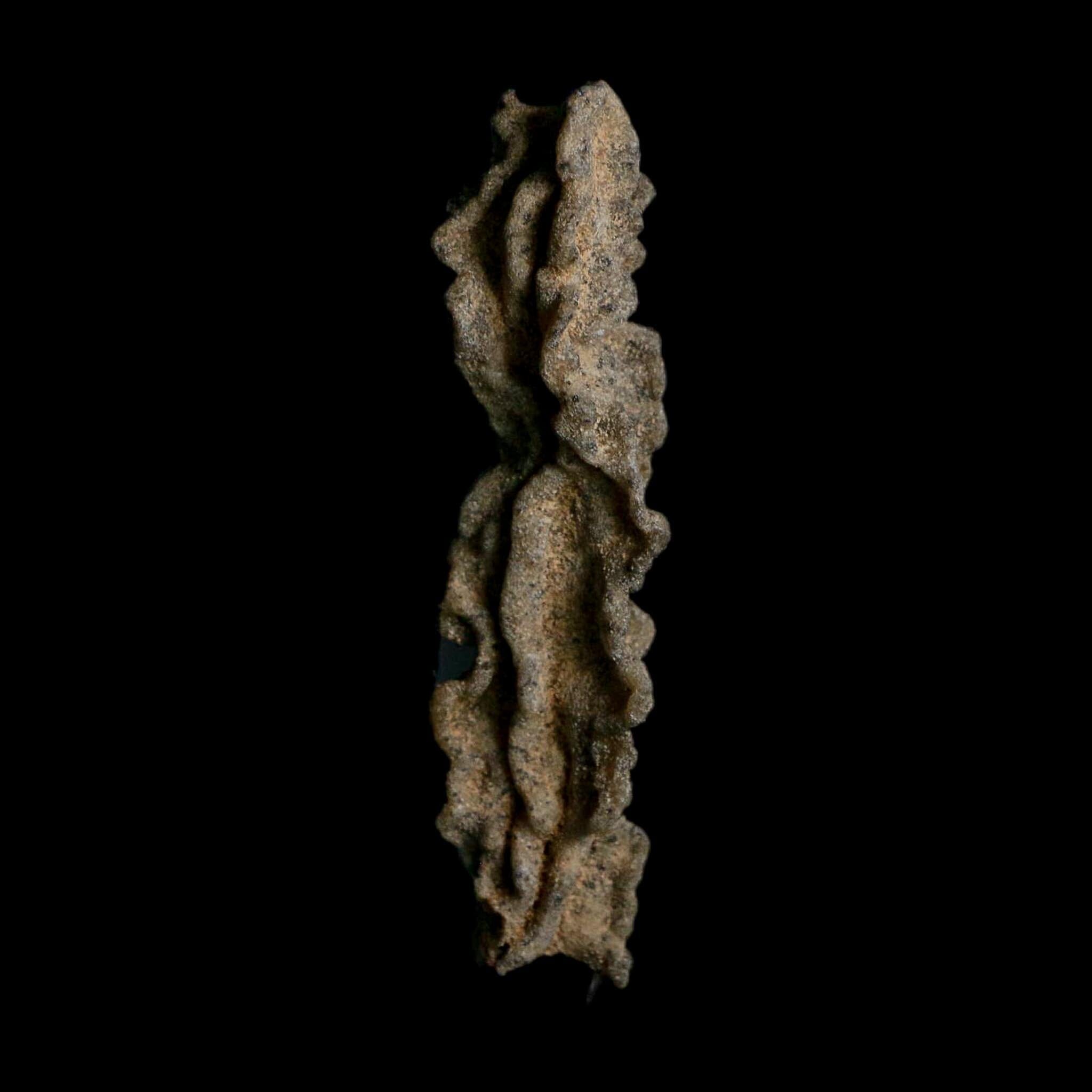 3.7" Fulgurite Petrified Lightning Strike Glass Sahara Desert Algeria - Fossil Age Minerals