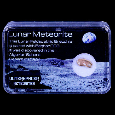 Moon Rock Moon Lunar Meteorite Bechar 003 Algerian Sahara Desert Discovered 2022 - Fossil Age Minerals