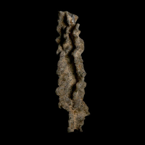 3.7" Fulgurite Petrified Lightning Strike Glass Sahara Desert Algeria - Fossil Age Minerals