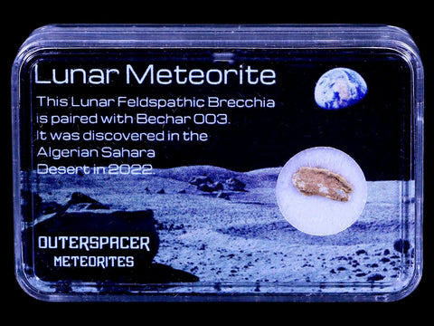 Moon Rock Moon Lunar Meteorite Bechar 003 Algerian Sahara Desert Discovered 2022 - Fossil Age Minerals
