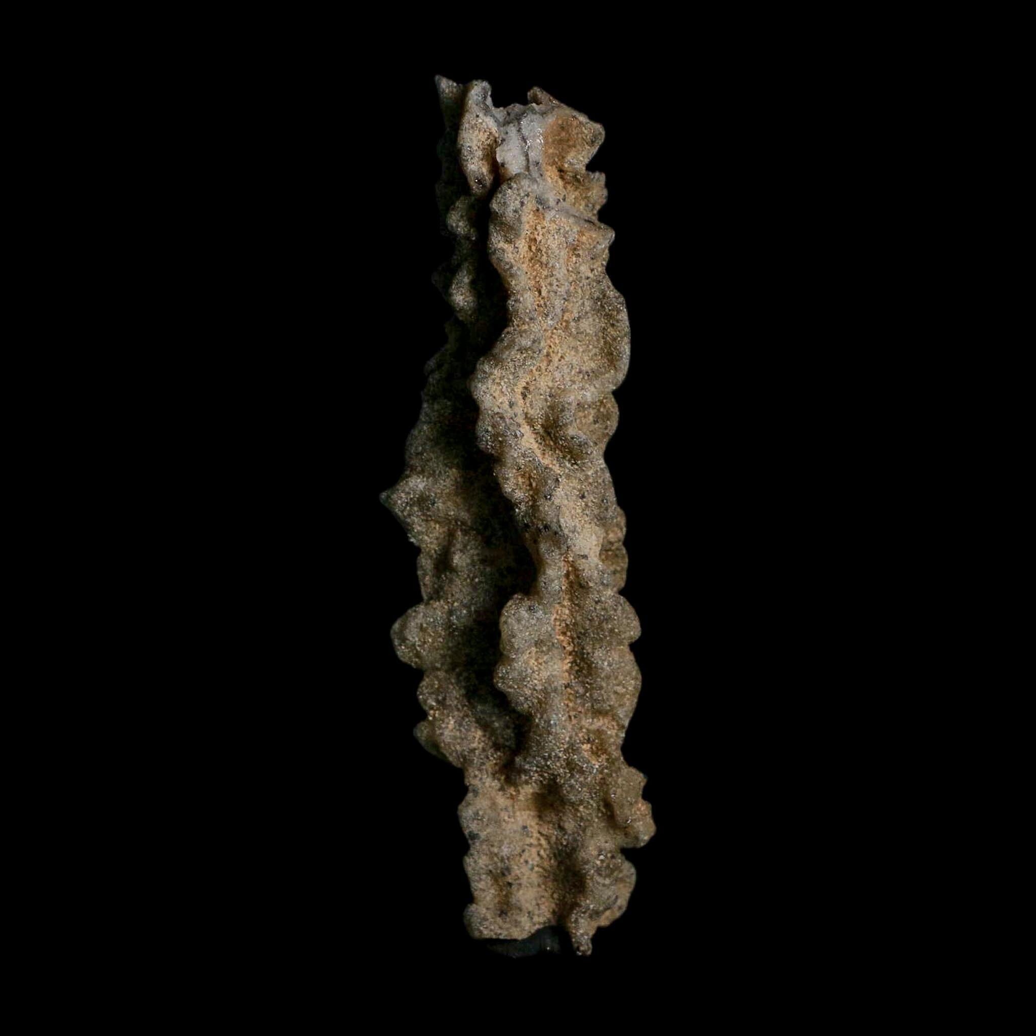 3.7" Fulgurite Petrified Lightning Strike Glass Sahara Desert Algeria - Fossil Age Minerals