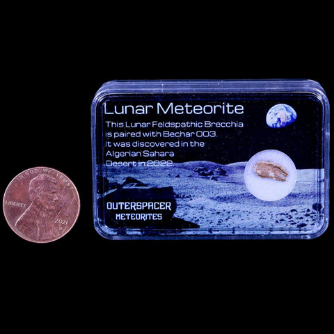 Moon Rock Moon Lunar Meteorite Bechar 003 Algerian Sahara Desert Discovered 2022 - Fossil Age Minerals