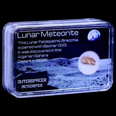Moon Rock Moon Lunar Meteorite Bechar 003 Algerian Sahara Desert Discovered 2022 - Fossil Age Minerals