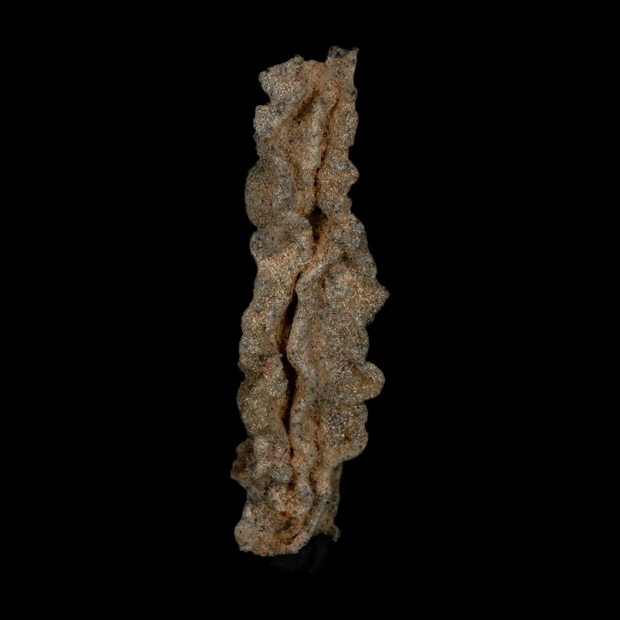 3.7" Fulgurite Petrified Lightning Strike Glass Sahara Desert Algeria - Fossil Age Minerals