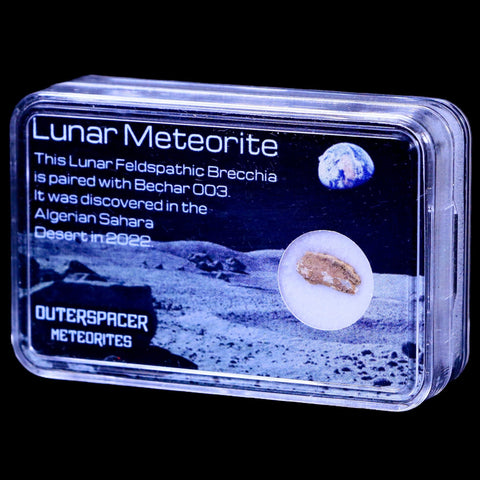 Moon Rock Moon Lunar Meteorite Bechar 003 Algerian Sahara Desert Discovered 2022 - Fossil Age Minerals