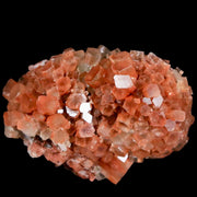 2.2" Aragonite Mineral Two Tone Crystal Cluster Specimen Tazouta Morocco