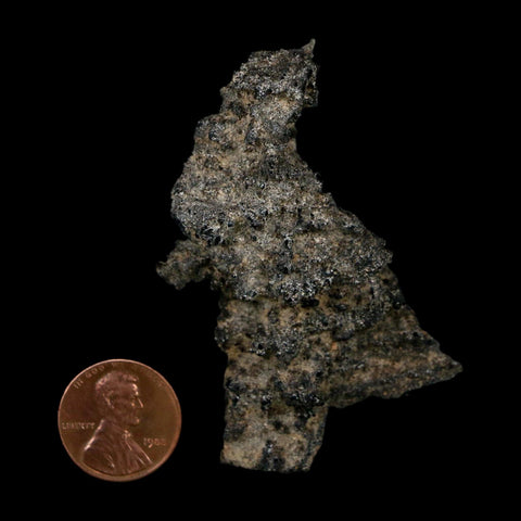2.6" Fulgurite Petrified Lightning Strike Glass Sahara Desert Algeria - Fossil Age Minerals